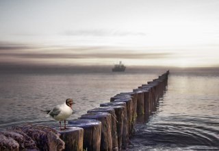 &copy; Margrit Hintsche