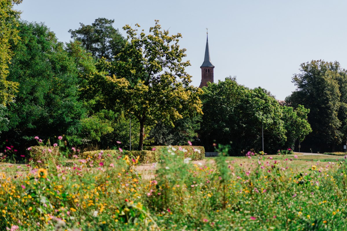 © Bernsteinstadt Ribnitz-Damgarten © Bernsteinstadt Ribnitz-Damgarten