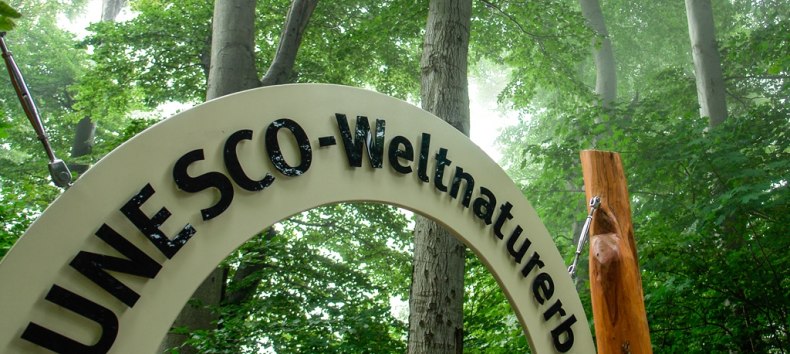 &copy; Nationalpark-Zentrum K&Ouml;NIGSSTUHL / Peter Lehmann