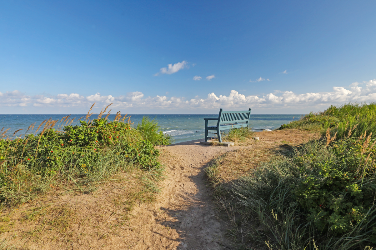 Steilk&uuml;ste Hohes Ufer im Ostseebad Wustrow // &copy; MV-T/Gohlke