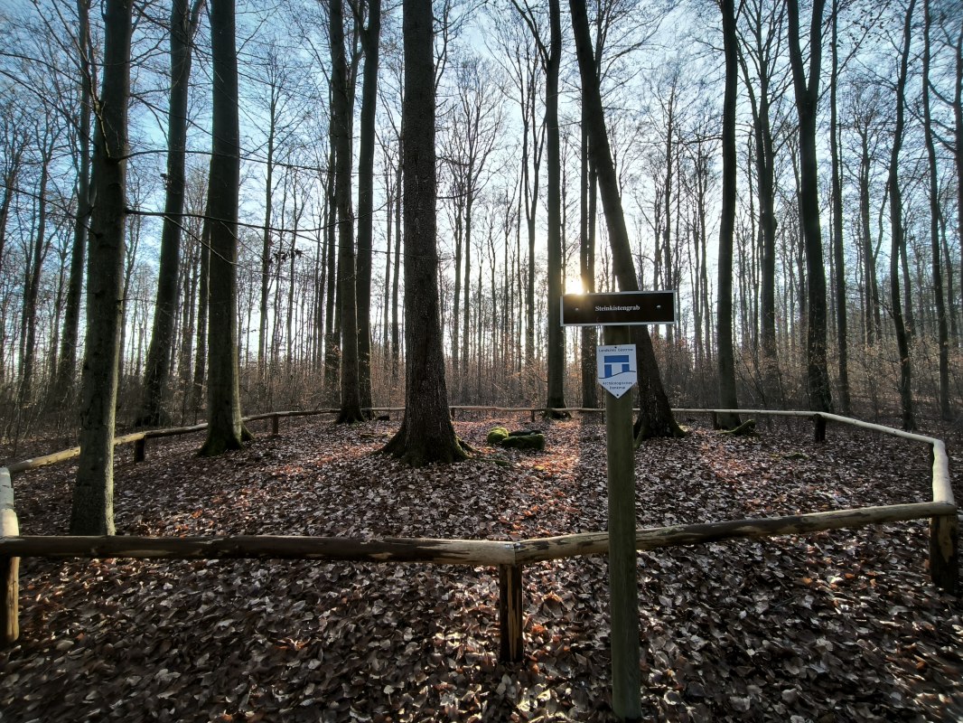 Grabstätte aus der Jungsteinzeit // © Jana Koch Grabstätte aus der Jungsteinzeit // © Jana Koch