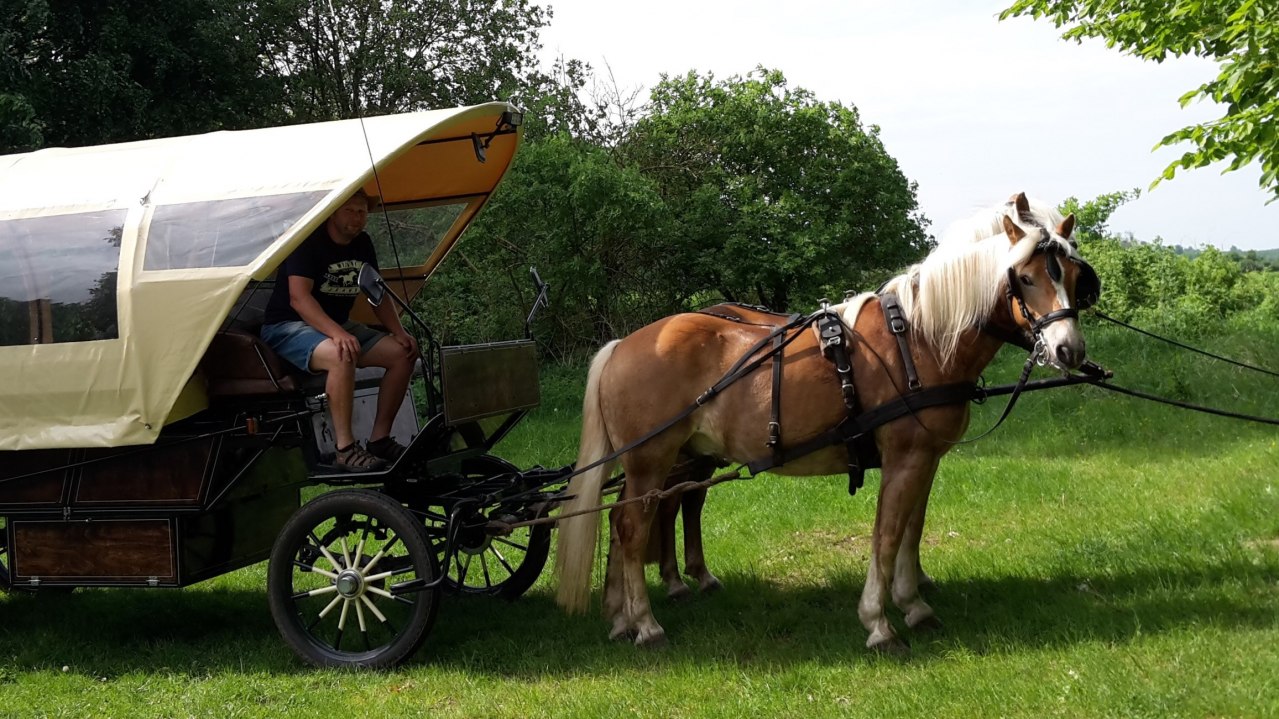 &copy; Katrin Kr&uuml;ger