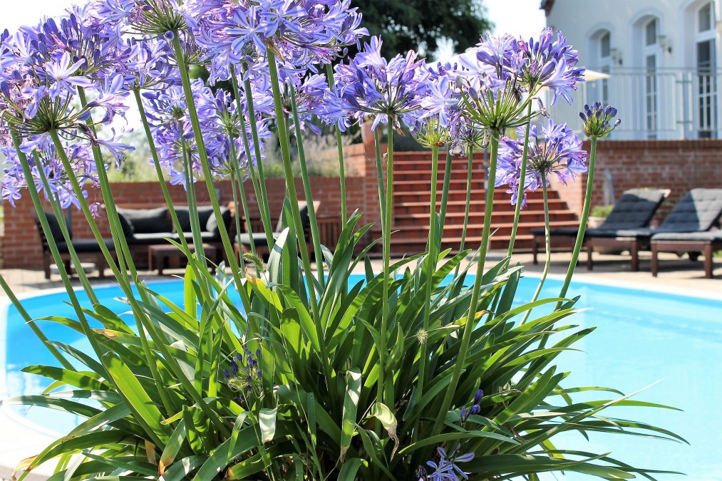 Au&szlig;enpool, &copy; Sabine Schwanzer