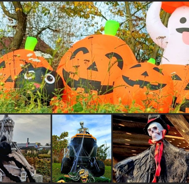 &copy; Christian Beckert