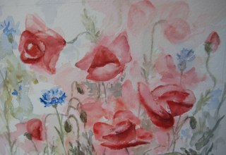 &copy; Cornelia Ciechocki