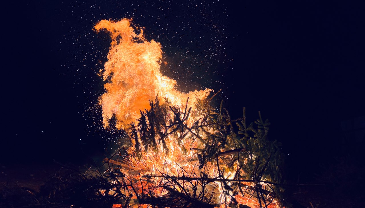 20140113-Tannenbaum-verbrennen-2, © Burwitz 20140113-Tannenbaum-verbrennen-2, © Burwitz