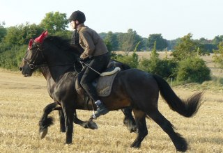Ausritt durch die herrliche Natur // &copy; Ponyhof R&uuml;gen