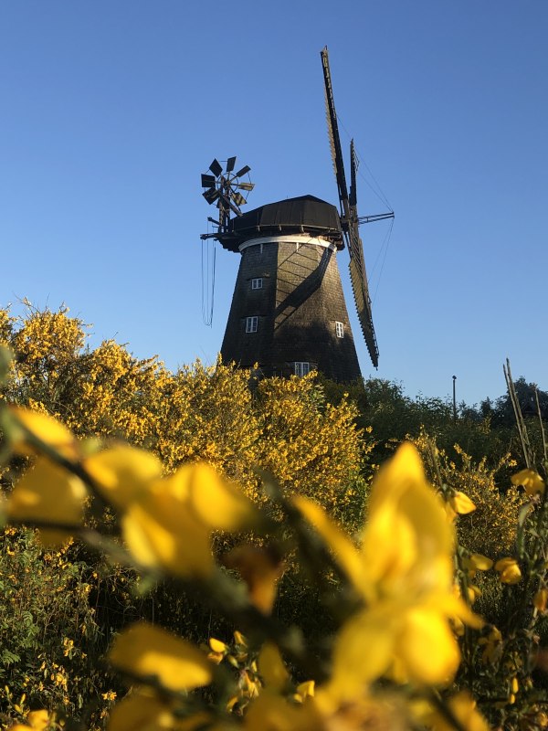 &copy; Kulturm&uuml;hle Benz e.V.