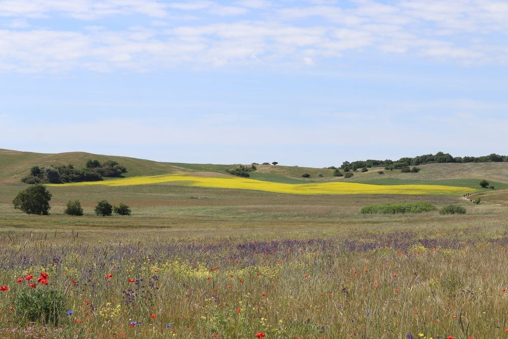 &copy; Bildarchiv Biosph&auml;renreservatsamt S&uuml;dost-R&uuml;gen