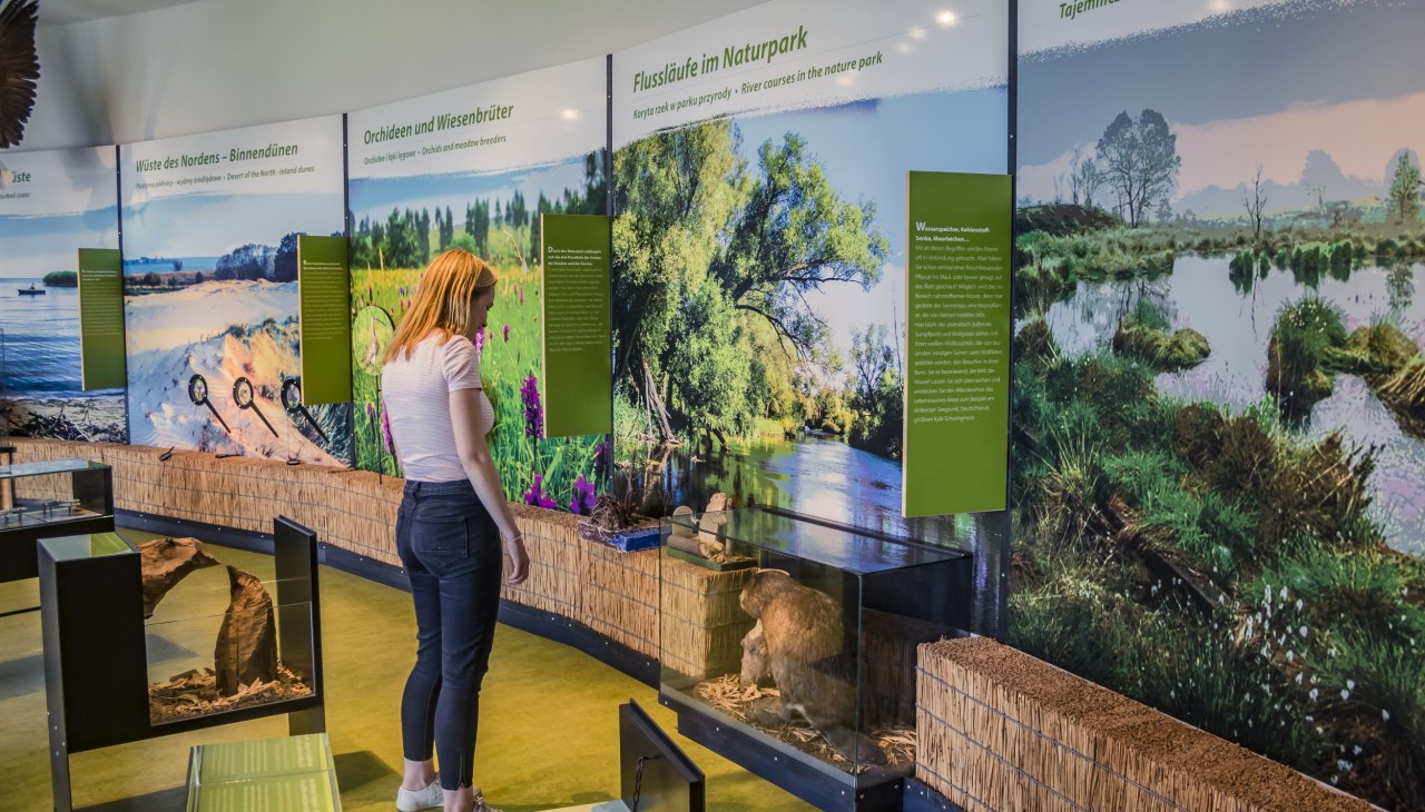 Natuurpark Am Stettiner Haff - Tentoonstellingszalen, © tvv/Philipp Schulz Natuurpark Am Stettiner Haff - Tentoonstellingszalen, © tvv/Philipp Schulz