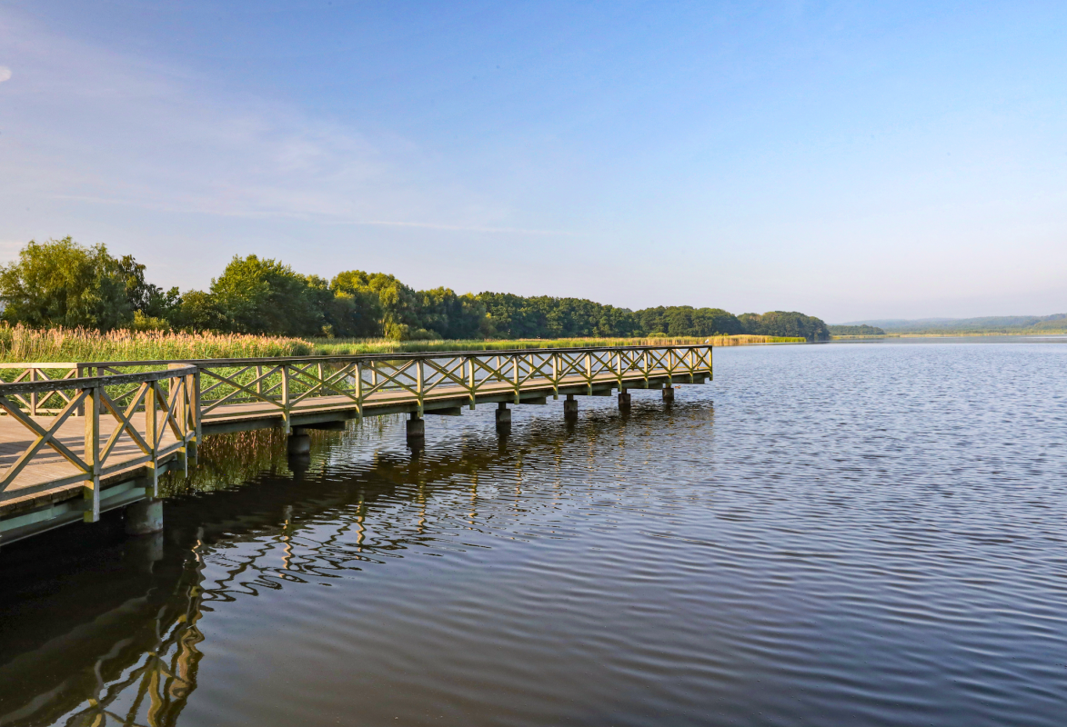 © TMV/Gohlke © TMV/Gohlke