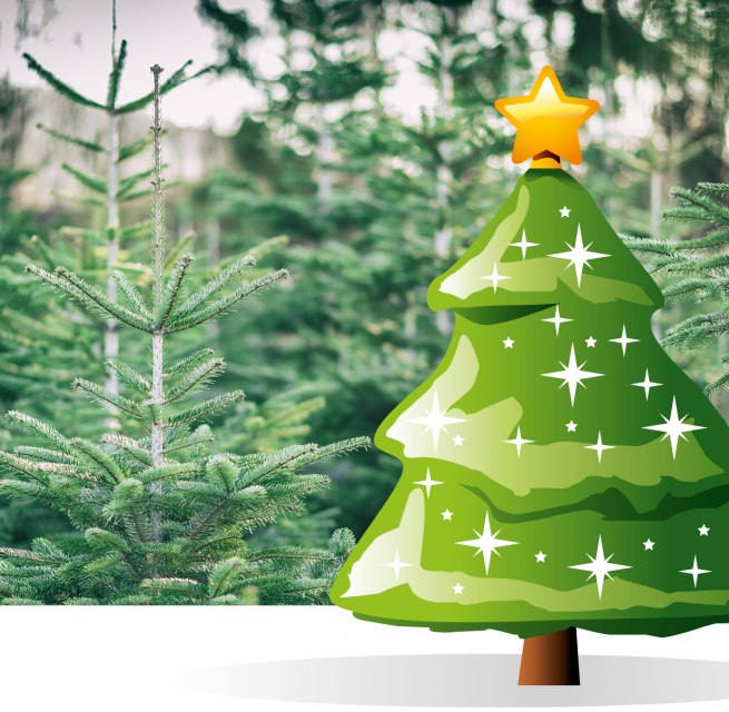 &copy; Stadtmarketing Ribnitz-Damgarten