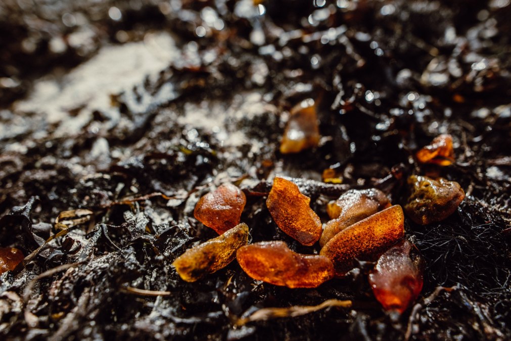 NaturWerkstatt: Bernsteinschleifen, &copy; Binzer Bucht Tourismus