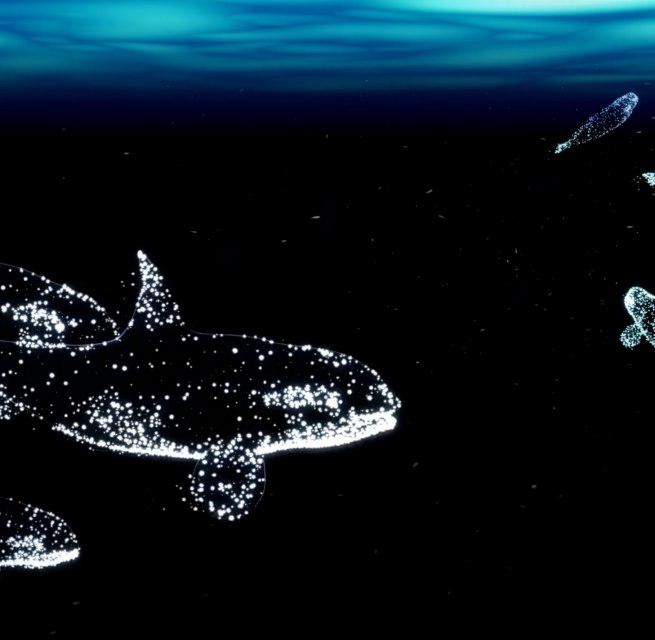 © halbautomaten/Deutsches Meeresmuseum