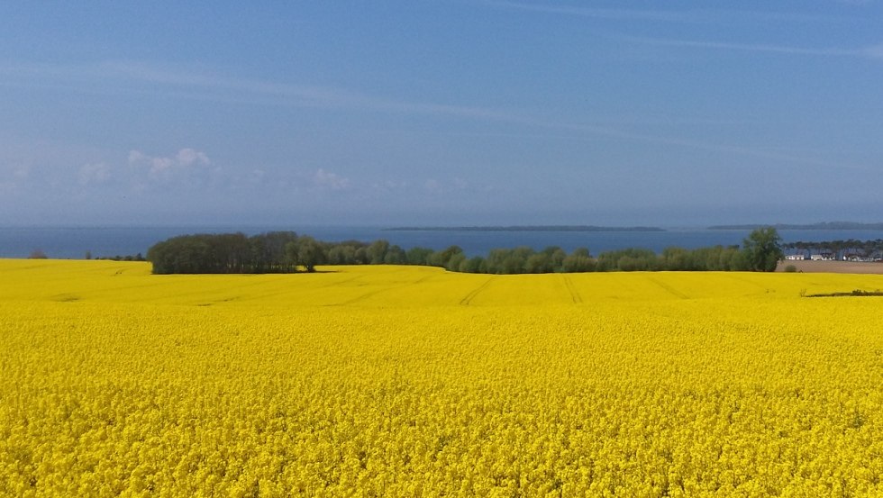 Vakantie midden in de natuur aan de Mecklenburgse Oostzeekust // &copy; Ferienresidenz Am Salzhaff
