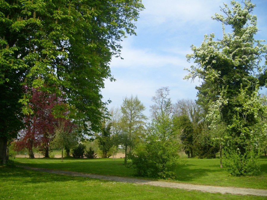 Schlosspark, © Stadt Dargun