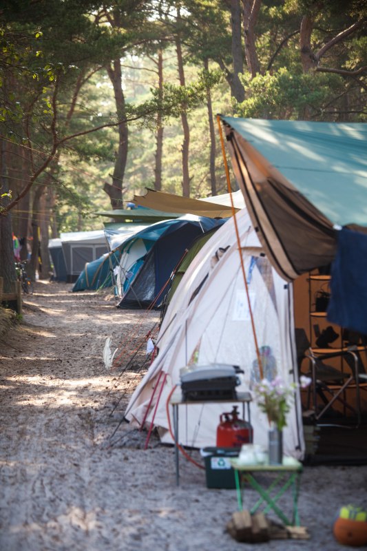 Campen unter Kiefern // &copy; Tina Pei&szlig;ker