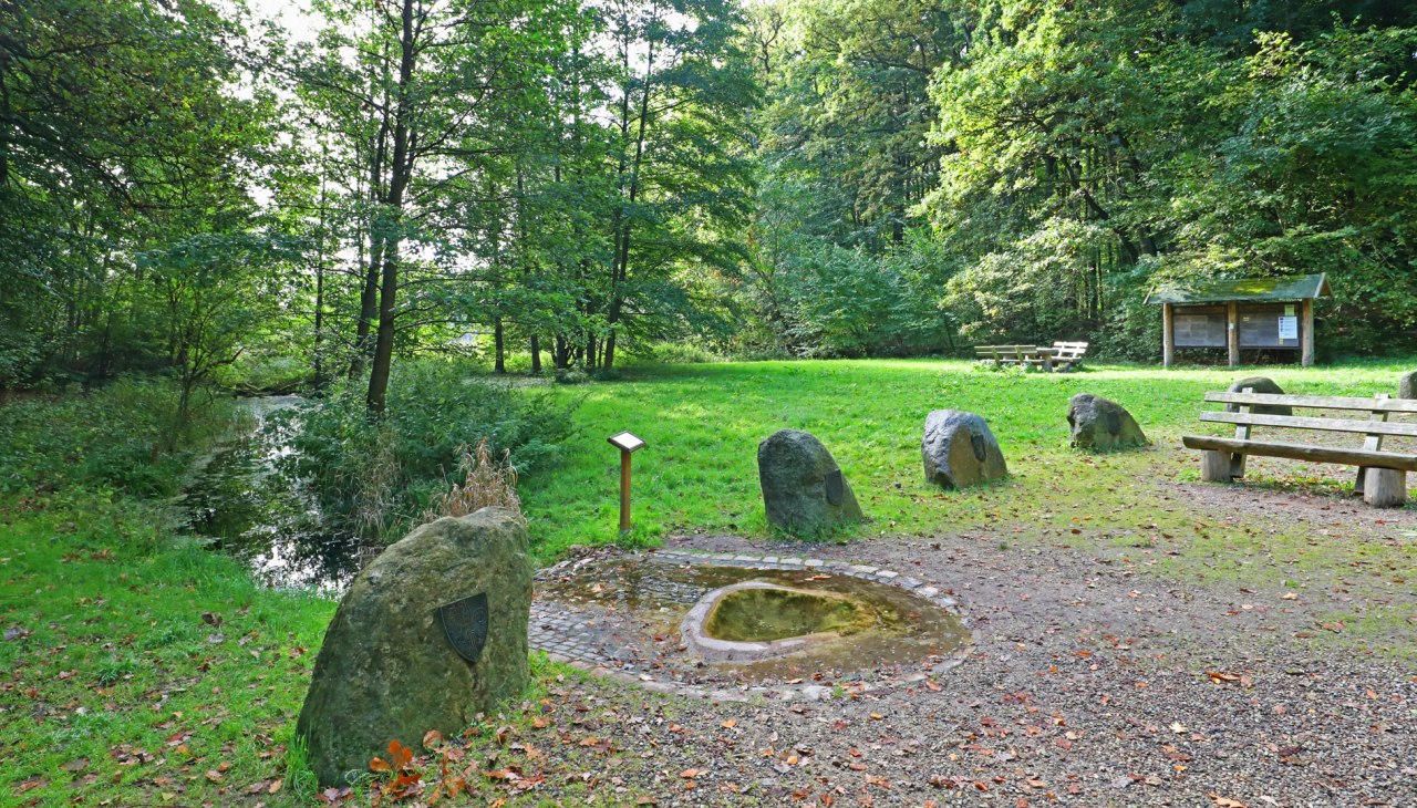 Havelquelle_1, © TMV/Gohlke Havelquelle_1, © TMV/Gohlke