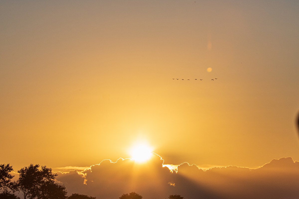 © Weiße Flotte GmbH © Weiße Flotte GmbH