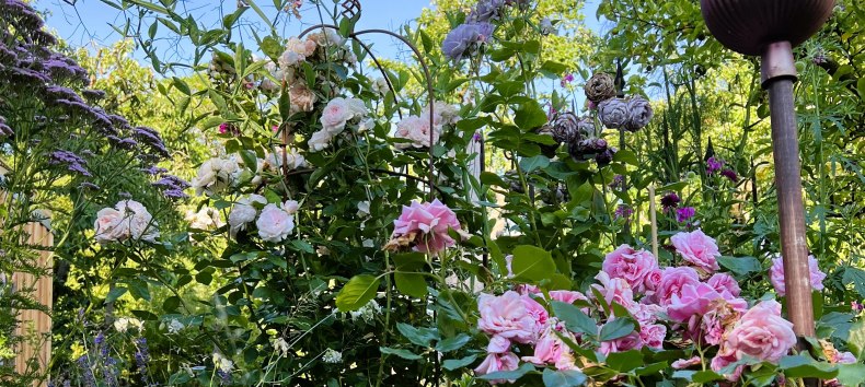 Privatgarten // &copy; Steffi Karls