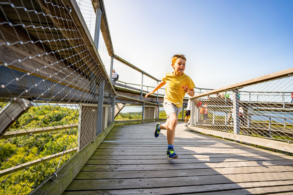 Kinder auf der Aussichtsplattform des Baumwipfelpfades im Naturerbezentrum Rügen, © Naturerbezentrum_Ruegen