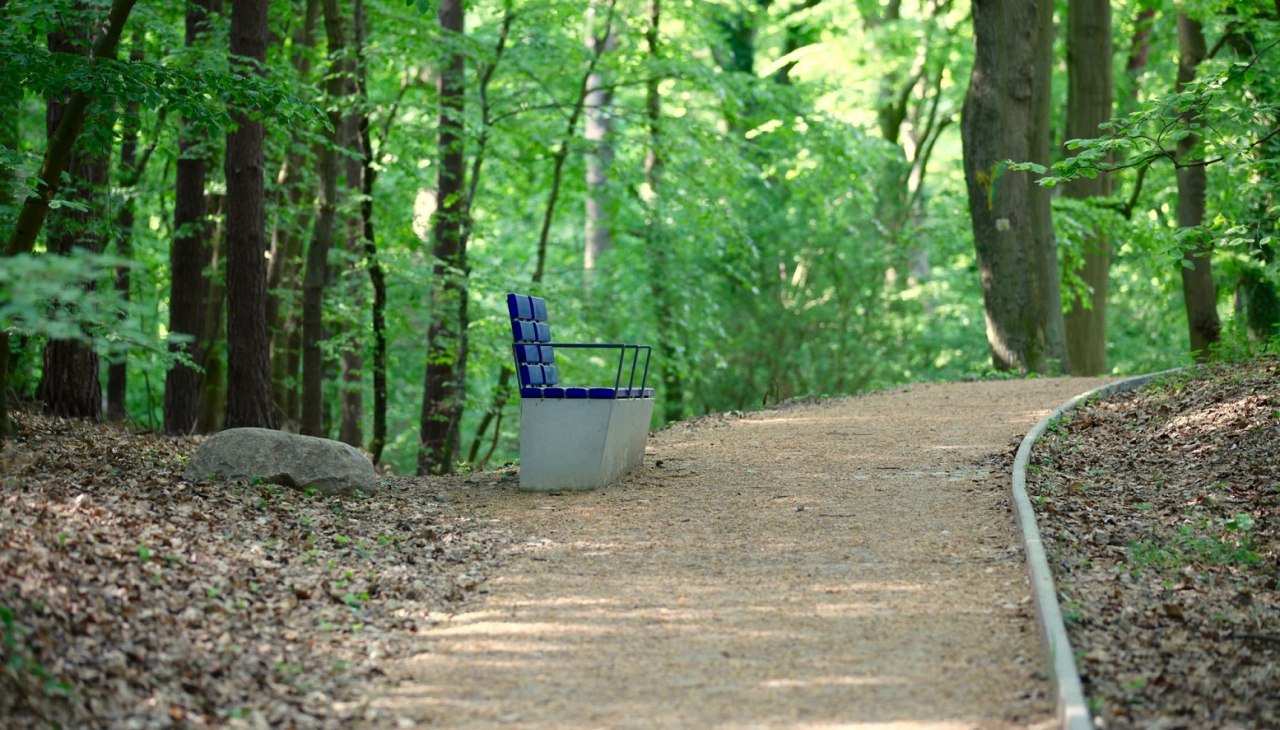 Therapiewanderung Therapiewanderung