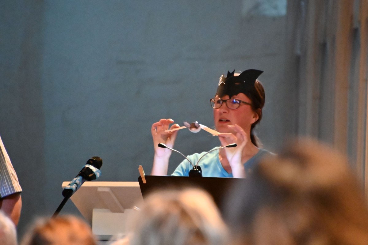 anschaulicher Vortrag im Rahmen der Fledermausnacht // &copy; F&ouml;rderkreis Kirche Damshagen