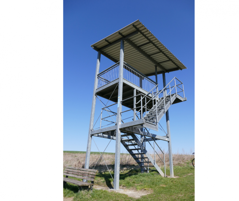 turm_tiefwarensee, &copy; Waren (M&uuml;ritz)-Information