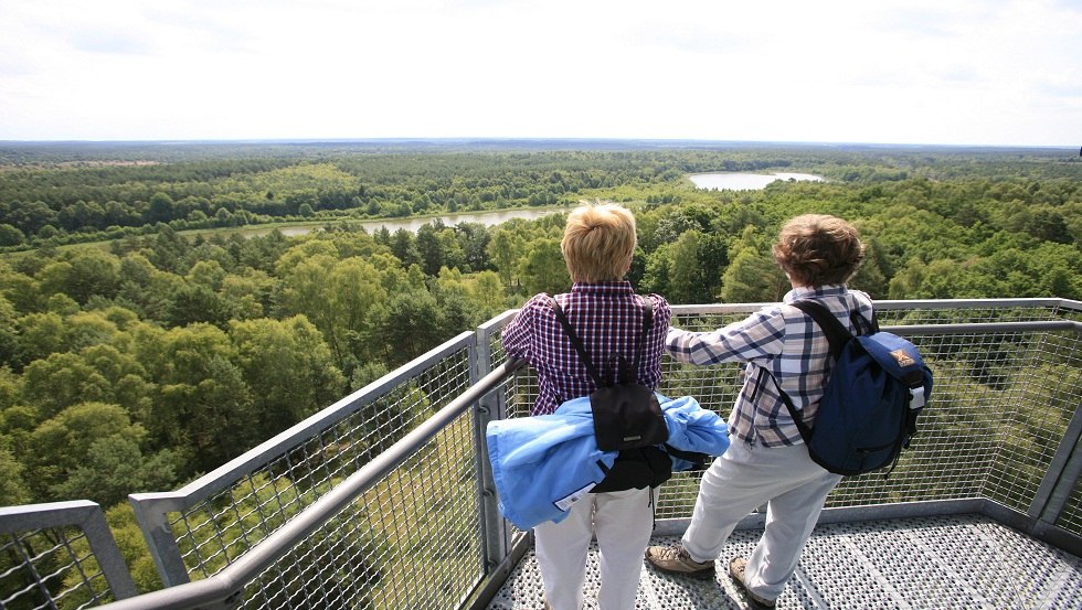 Fantastischer Blick vom Käflingsbergturm im Müritz-Nationalpark // © MV-T/Frischmut Fantastischer Blick vom Käflingsbergturm im Müritz-Nationalpark // © MV-T/Frischmut