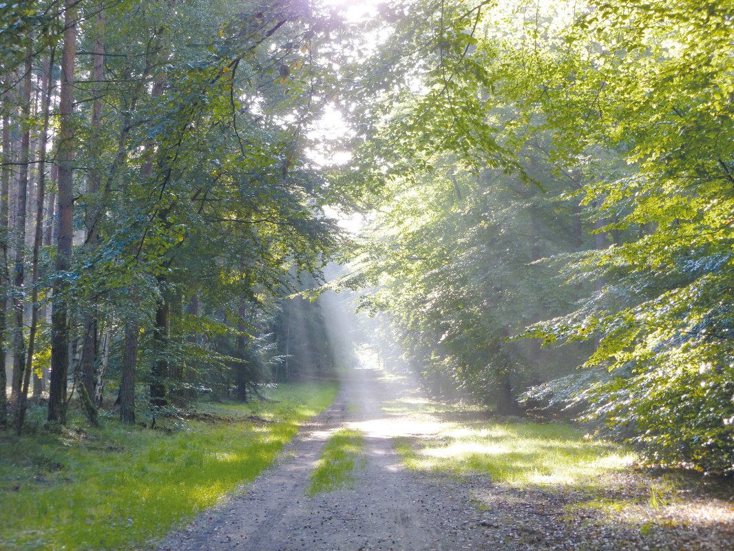 © Stadt Ribnitz-Damgarten © Stadt Ribnitz-Damgarten