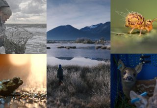 © Natascha Tagwerk, Enita Maidorn, Jonas Steiner, Yaz Ellis, Jack Mifflin, Roman Willi © Natascha Tagwerk, Enita Maidorn, Jonas Steiner, Yaz Ellis, Jack Mifflin, Roman Willi