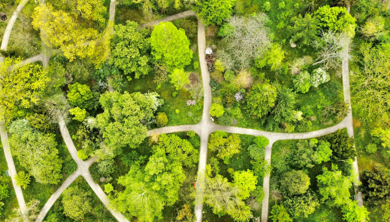 Arboretum von oben, &copy; Gudrun Koch