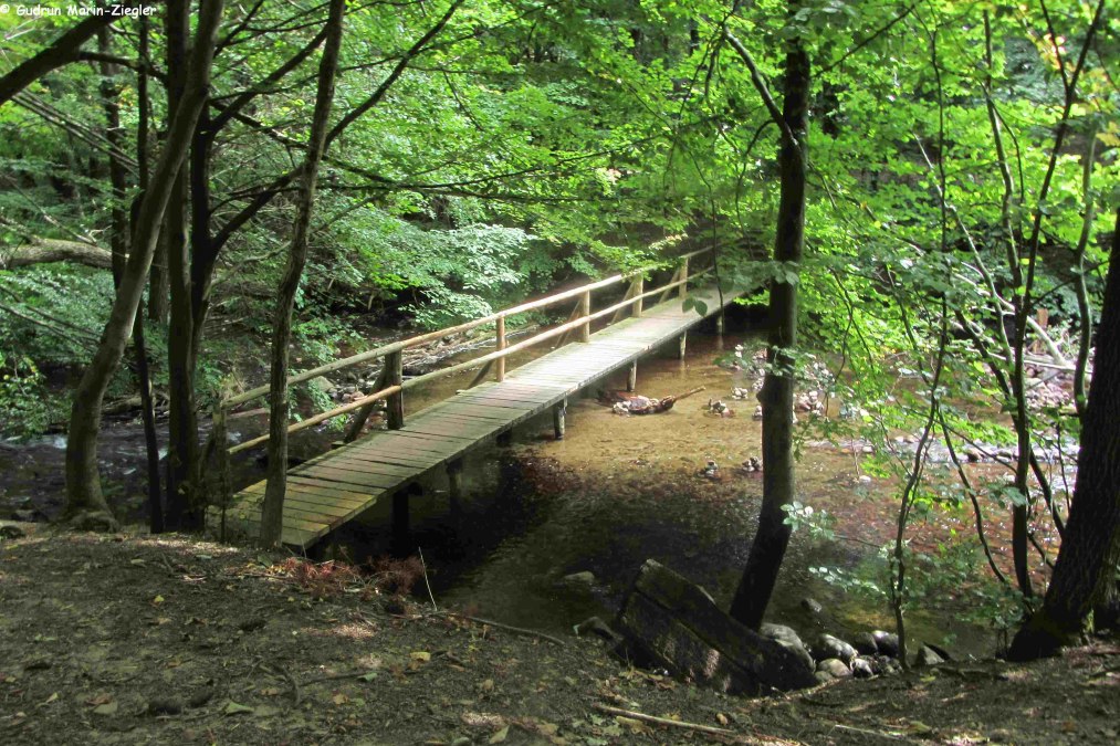 Im Nebeltal, &copy; np-msk