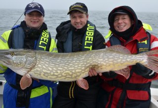 In den Boddengew&auml;ssern sind kapitale Hechte keine Seltenheit, &copy; Guido Jubelt