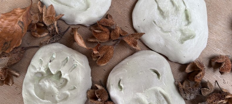 © Nationalpark-Zentrum KÖNIGSSTUHL