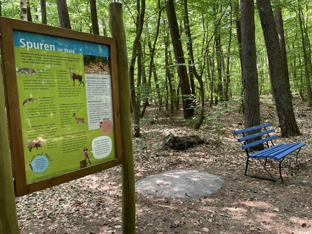 Wie heeft daar gelopen? We gaan op zoek naar aanwijzingen! // &copy; TZ S&uuml;dliche Boddenk&uuml;ste