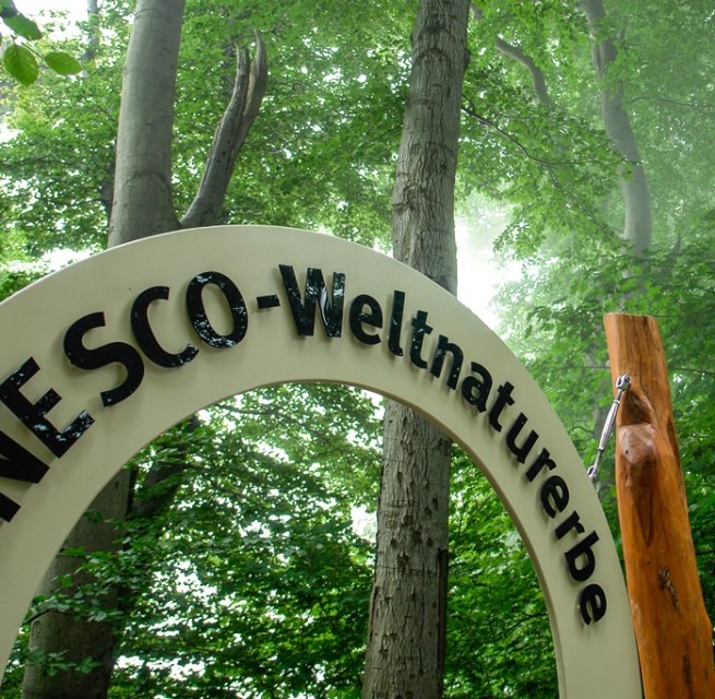 © NZK-Lehmann © NZK-Lehmann