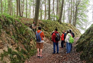 Rangerführung im Biosphärenreservat Südost-Rügen - Teufelsschlucht in der Granitz // © Biosphärenreservat Südost-Rügen Rangerführung im Biosphärenreservat Südost-Rügen - Teufelsschlucht in der Granitz // © Biosphärenreservat Südost-Rügen