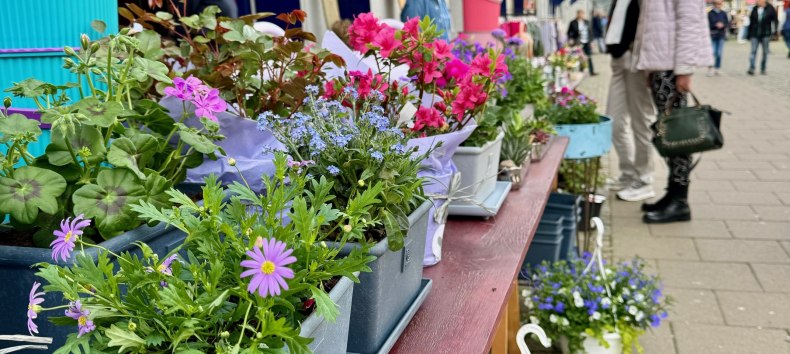 &copy; &copy; Die Stadtmagneten e. V.