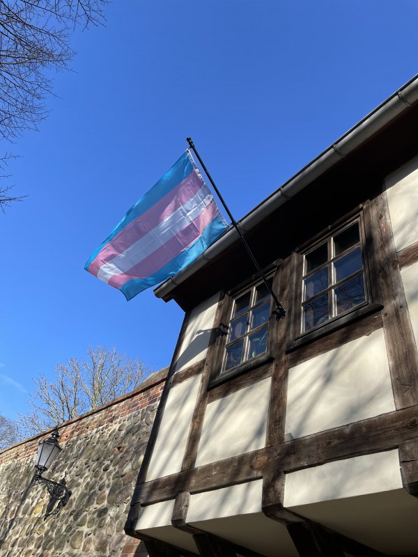 Hissen der Trans* Flagge zum Trans* Day of Visibility, © Nils Berghof Hissen der Trans* Flagge zum Trans* Day of Visibility, © Nils Berghof