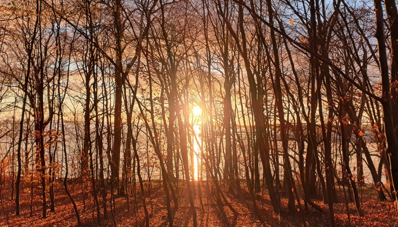 Waldbaden Winter (c) Kurverwaltung Goehren, © Kurverwaltung Goehren / Martin Stoever Waldbaden Winter (c) Kurverwaltung Goehren, © Kurverwaltung Goehren / Martin Stoever