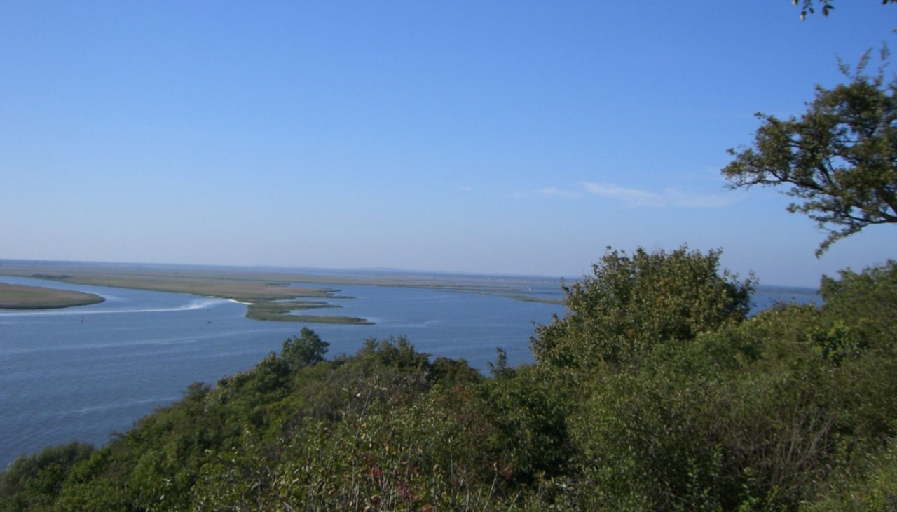 Natur pur - Swinedelta: Abenteuer-Bootstour mit Rudi