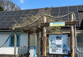 &copy; MV-Kunst Galerie