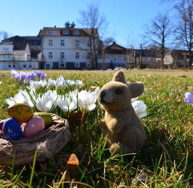 &copy; Kurverwaltung Feldberger Seenlandschaft