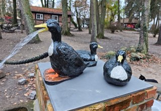 &copy; Zoo Stralsund