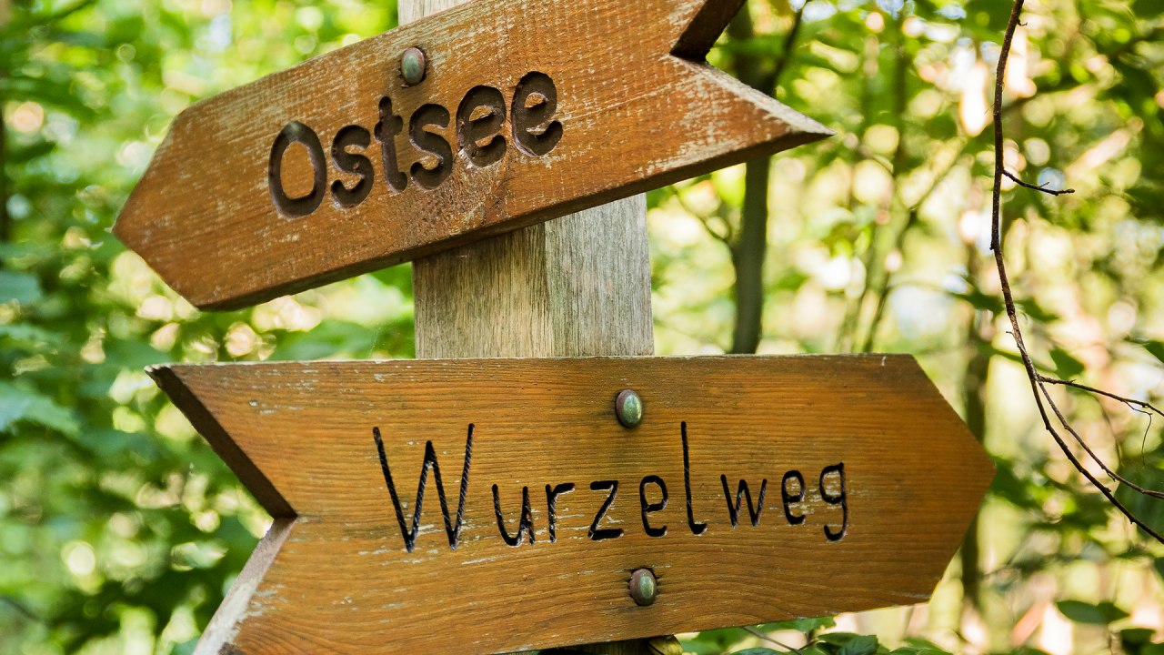 Puur natuur // &copy; Andr&eacute; Pristaff / Tourismus- und Kur GmbH Graal-M&uuml;ritz