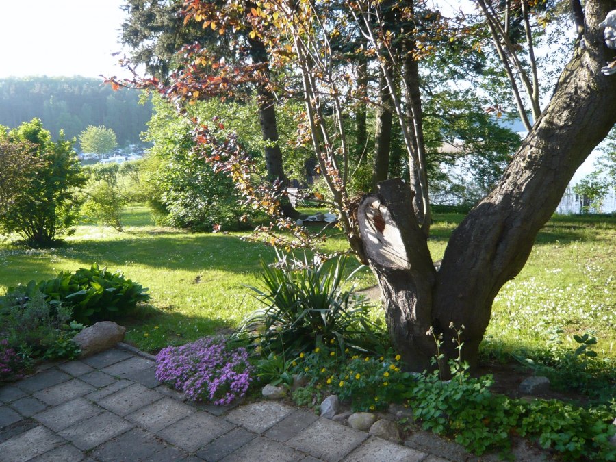 Die Aussicht über das Grundstück vom Grillplatz aus, © P. Kohlmann Die Aussicht über das Grundstück vom Grillplatz aus, © P. Kohlmann