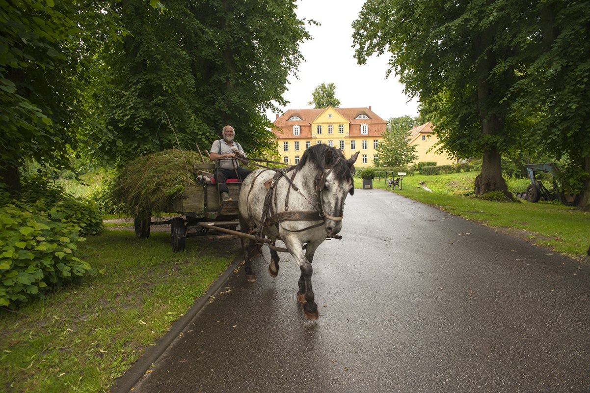 Pferdewagen vor Schloss L&uuml;hburg // &copy; Christin Dr&uuml;hl