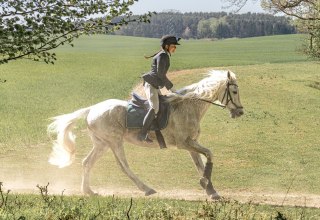 Ridjagt // © Martha Eugenia Bende Ridjagt // © Martha Eugenia Bende