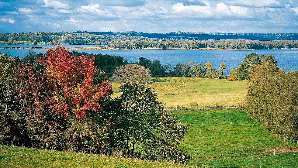 Heuvels met bossen, prachtige meren – op gouden herfstdagen de ongekende charme van het Feldberger merenlandschap beleven // © MV-T/Grundner Heuvels met bossen, prachtige meren – op gouden herfstdagen de ongekende charme van het Feldberger merenlandschap beleven // © MV-T/Grundner